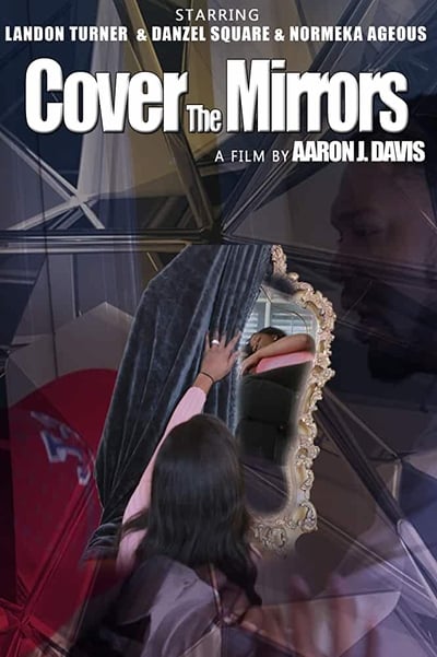 Cover the Mirrors 2020 WEBRip x264-ION10