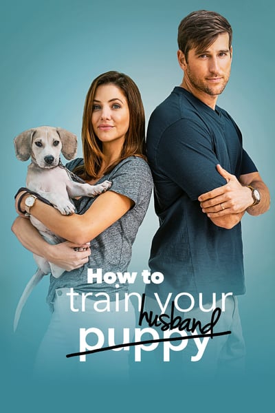 How To Train Your Husband Or 2018 1080p WEBRip x264 AAC-YTS