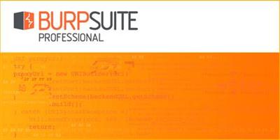 Burp Suite Professional 2020.6 Build 3105