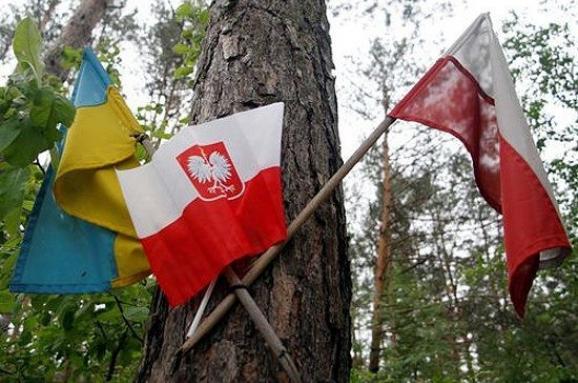 Посольство: Волынская катастрофа является общей болью для Украины и Польши