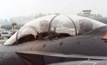 McDonnell Douglas F-15E Strike Eagle + Cockpit Walk Around