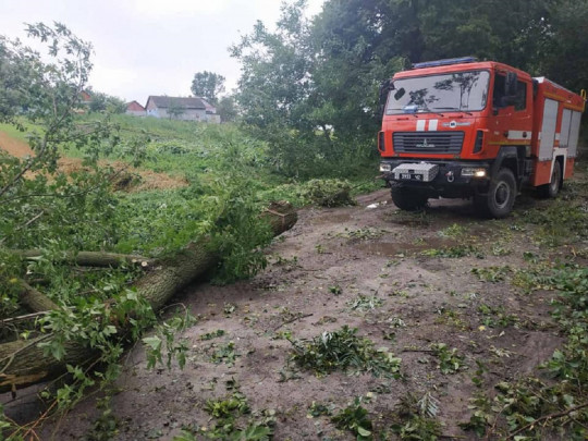 Затопленные улицы и поваленные деревья: в Ровенской области разгулялась жуткая непогода(фото, видео)