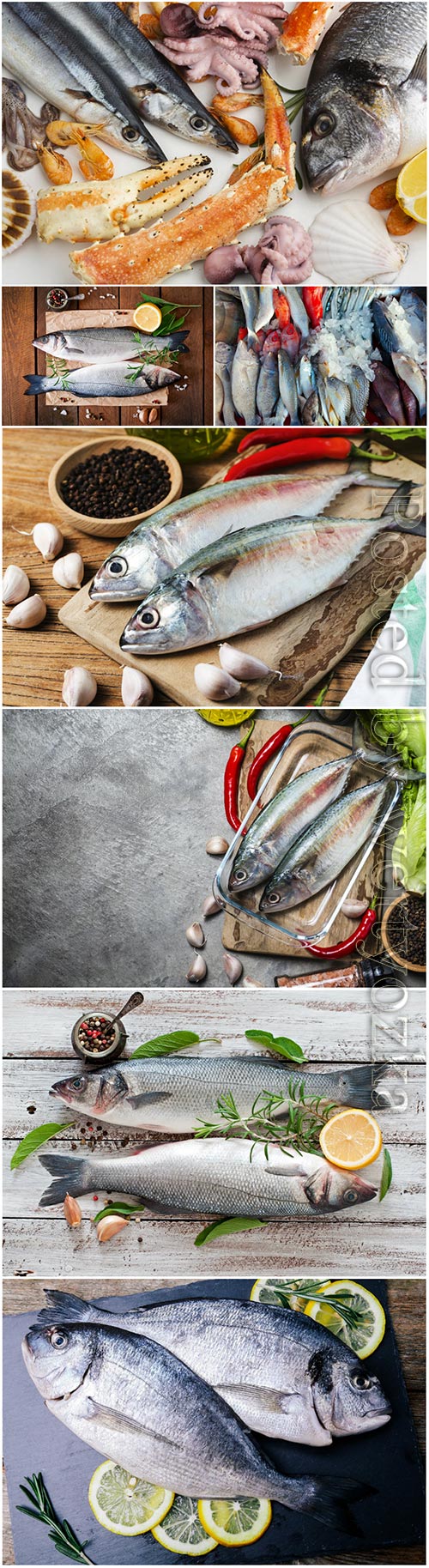 Fresh fish and seafood stock photo