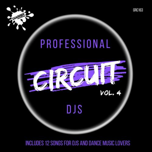 Professional Circuit DJs Compilation Vol 4 (2020)