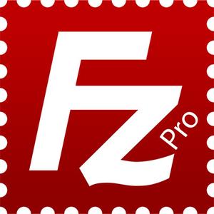 FileZilla Pro 3.49.1 Multilingual + Portable