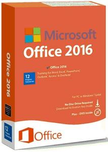 Microsoft Office 2016 Pro Plus 16.0.5032.1000 VL July 2020