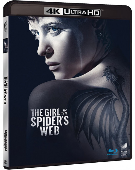 The Girl in the Spider's Web (2018) 1080p BDRip x265 10bit EAC3 5 1 r0b0t