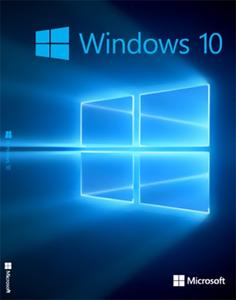 Windows 10 Pro 20H1 2004.19041.388 (x86x64) Multilanguage Preactivated July 2020