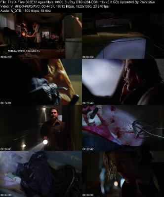 The X-Files S06E13 Agua Mala 1080p BluRay DTS x264-DON