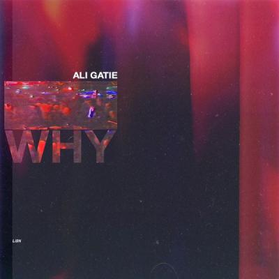  Ali Gatie - Why