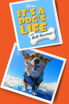 Its a Dogs Life With Bill Farmer S01E09 1080p WEB H264-ASCENDANCE